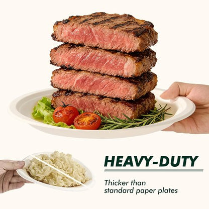 Eco-Strong 10 Inch Heavy-Duty Disposable Paper Plates | 125 Count Unbleached Sugarcane Fiber