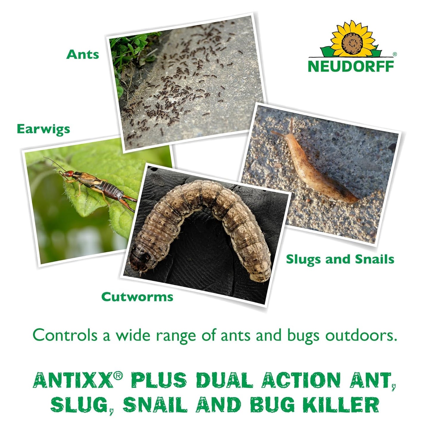 Neudorff ANTIXX Plus Ant & Insect Control Granules - Organic Pest Solution for Gardens | 4 lbs