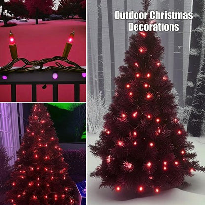 HISHINY Christmas Lights - 100 Count Red String Lights for Indoor/Outdoor Decorations | UL Certified, 21 Feet