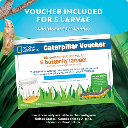 National Geographic Butterfly Growing Kit - Complete Habitat with 5 Caterpillars Voucher | Perfect Easter Gift for Kids