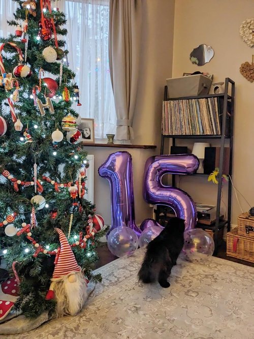 Balloon 15 Number - 40 Inch Purple Foil Balloon for 15th Birthday & Anniversary Celebrations