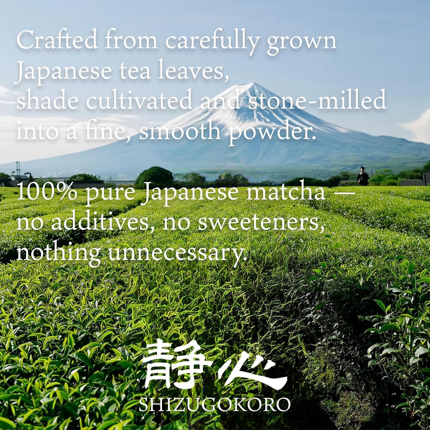 SHIZUGOKORO Authentic Japanese Matcha Green Tea Powder - Ceremonial Grade from Uji Kyoto - 30g (1.06oz)