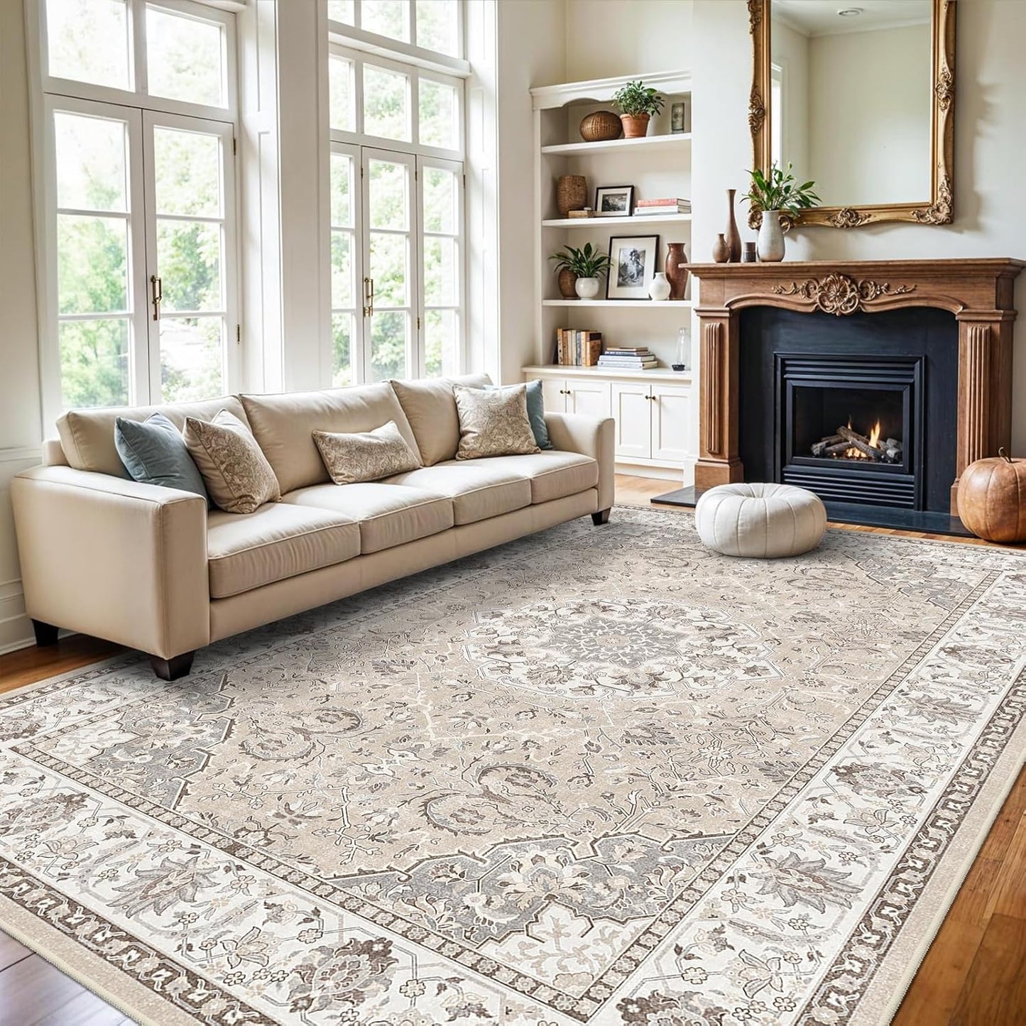 Regine Switzerland Washable Large 9x12 Area Rug - Soft, Non-Slip, Stain-Resistant Carpet for Living Room & Bedroom (Beige)