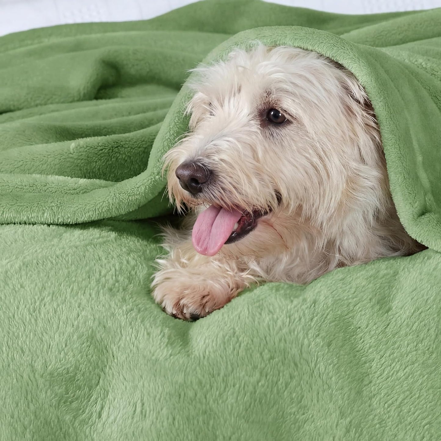 Bedsure GentleSoft Throw Blanket - Cozy 300GSM Fleece for Home Decor | Emerald, 50x60 Inches