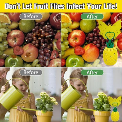 Fruit Fly Trap - Skiennix Effective Indoor Gnat Catcher with Non-Toxic Bait | 2 Pack