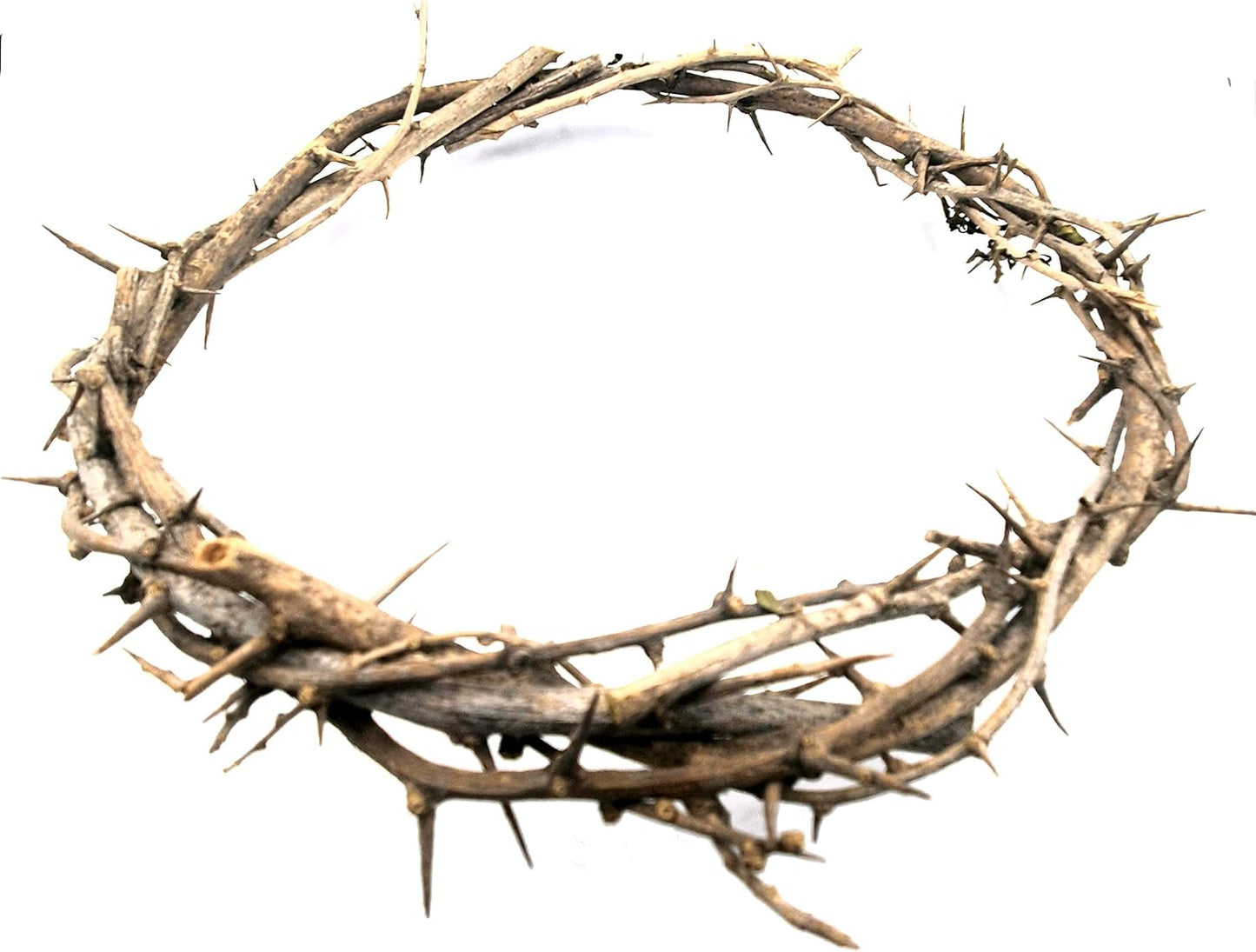 ZULUF Crown of Thorns Ornament - Authentic 7.5" Holy Land Gift Box from Bethlehem | Passion of Christ