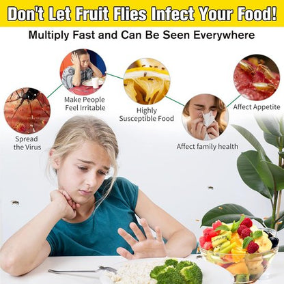 Fruit Fly Trap - Skiennix Effective Indoor Gnat Catcher with Non-Toxic Bait | 2 Pack