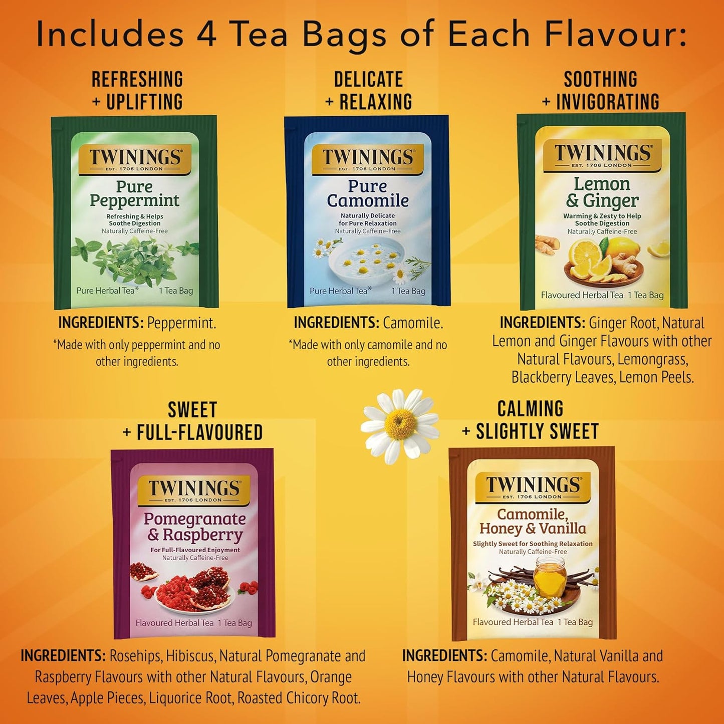 Twinings Herbal Tea Variety Pack - 20 Count (Pack of 6) | 5 Flavours, Naturally Caffeine-Free, Enjoy Hot or Iced