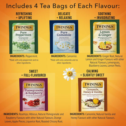 Twinings Herbal Tea Variety Pack - 20 Count (Pack of 6) | 5 Flavours, Naturally Caffeine-Free, Enjoy Hot or Iced
