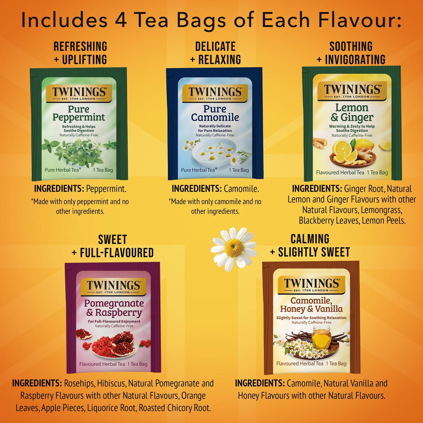 Twinings Herbal Tea Variety Pack, 20 Count (Pack of 6), Formerly Assorted Herbal, Includes 5 Flavours, Naturally Caffeine-Free, Enjoy Hot or Iced, 120 Teabags