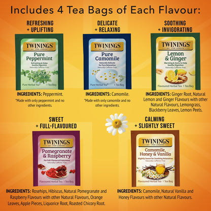 Twinings Herbal Tea Variety Pack, 20 Count (Pack of 6), Formerly Assorted Herbal, Includes 5 Flavours, Naturally Caffeine-Free, Enjoy Hot or Iced, 120 Teabags