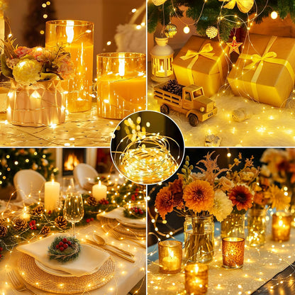 Skiennix Fairy Lights - 24 Pack Battery Operated Mini String Lights | 7ft Warm White Twinkle Lights for Weddings & Parties