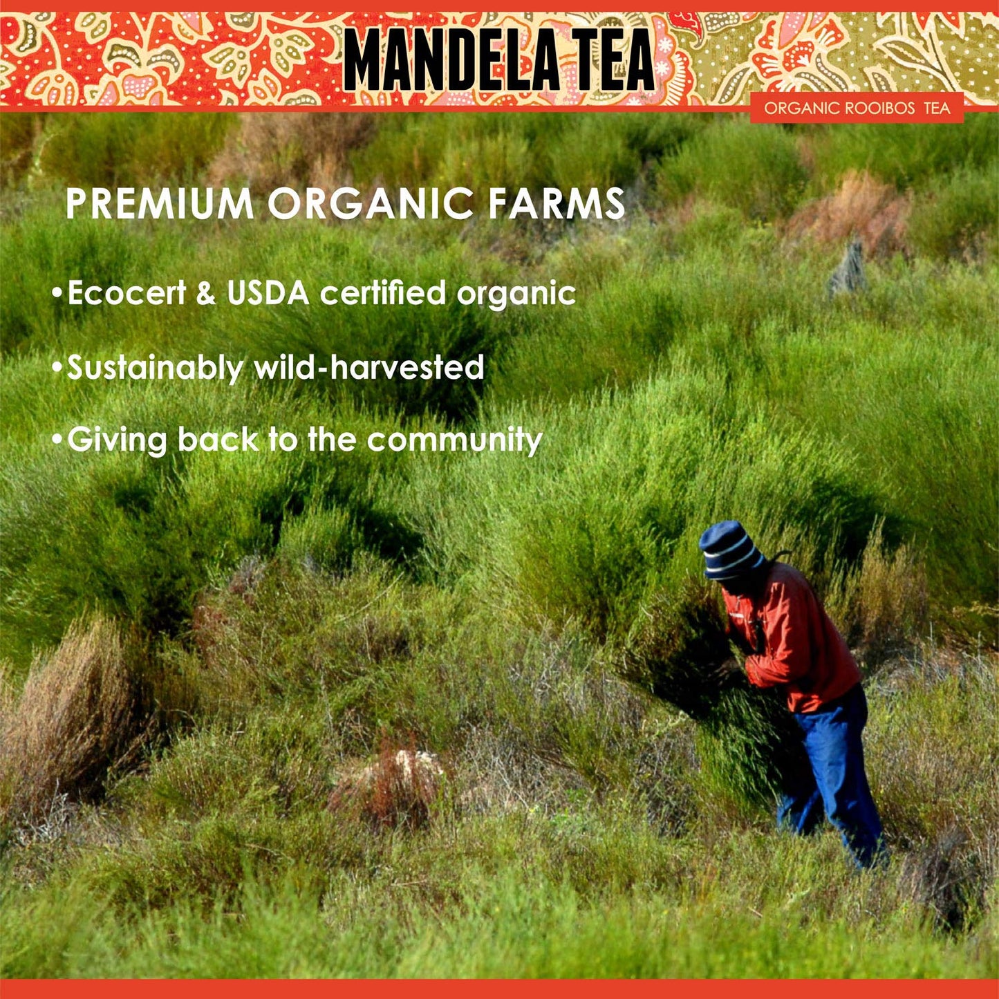 Mandela_Tea_Parent (Rooibos (With Gift Tin))