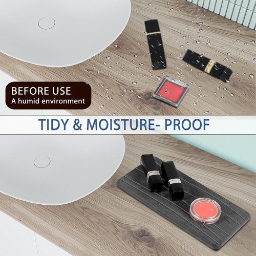 Diatomite Coasters by Skiennix - Fast Drying Water Absorbing Stone Tray Set | 2PCS for Kitchen & Bathroom