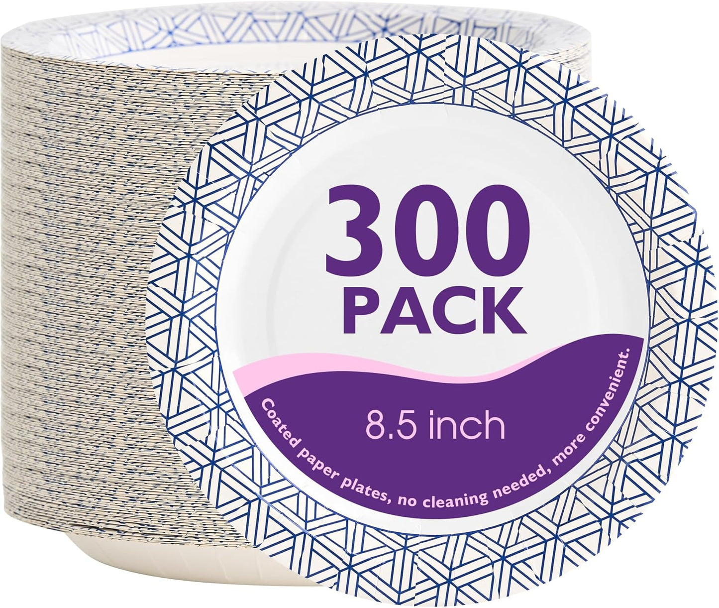 Regine Switzerland Disposable Paper Plates - Heavy Duty 8.5 Inch, Soak Proof, 300 Count for Parties & Picnics