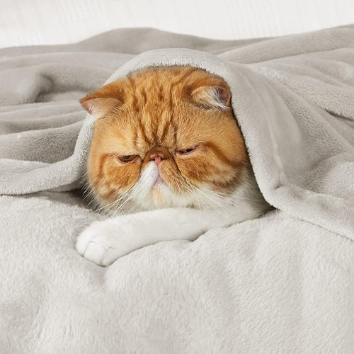 Bedsure Fleece Blanket - Soft, Lightweight Plush Queen Blanket for Bed, Sofa, Travel & Camping