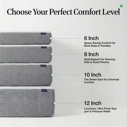 LIFEMENT Twin 6 Inch Graphite Memory Foam Mattress in a Box | Medium Firmness, Temperature Regulating, Fiberglass Free, CertiPUR-US & Oeko-TEX Certified Foam, 75''L x 38''W