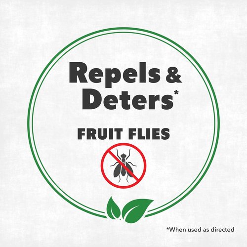 Fruit Fly Spray - Fast-Acting Killer for Kitchens & Indoor Use | 16 oz (475mL)