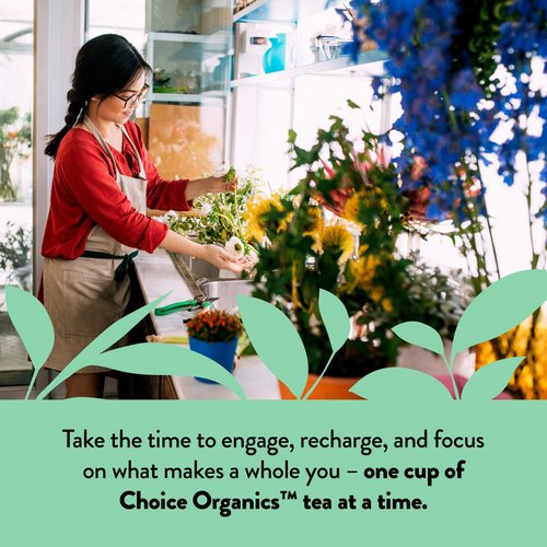 Choice Organics - Organic Peppermint Tea (1 Pack) - Compostable - Caffeine Free - 16 Organic Herbal Tea Bags