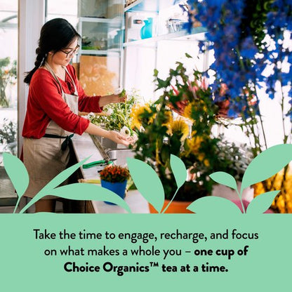 Choice Organics - Organic Peppermint Tea (1 Pack) - Compostable - Caffeine Free - 16 Organic Herbal Tea Bags