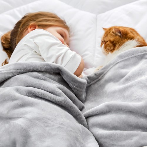 Bedsure GentleSoft Fleece Blanket - Cozy Small Throw for Kids | 43x55 Inches, Light Grey