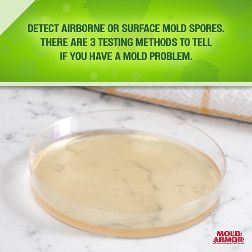 Mold Armor Do It Yourself Mold Test Kit for Home, Test Surfaces, Air Quality, and HVAC, Safe and Easy to Use, Effective Both Indoors and Outdoors
