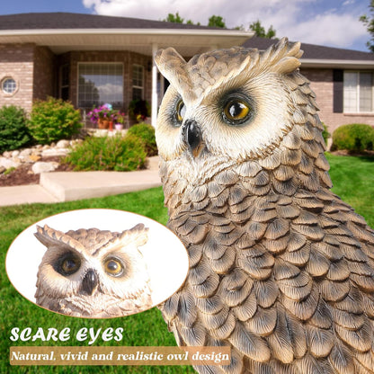 Regine Switzerland Owl Garden Statue - Perching Resin Figurine for Indoor & Outdoor Decor