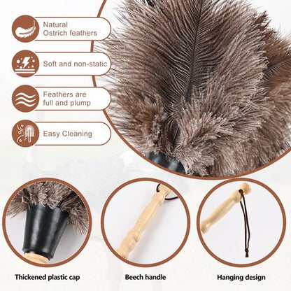 FeelfunFeather Ostrich Feather Duster 14" Natural Handheld Reusable Feathers Dusters with Wooden Handle for Cleaning Supplies Home Car Office(10PCS)