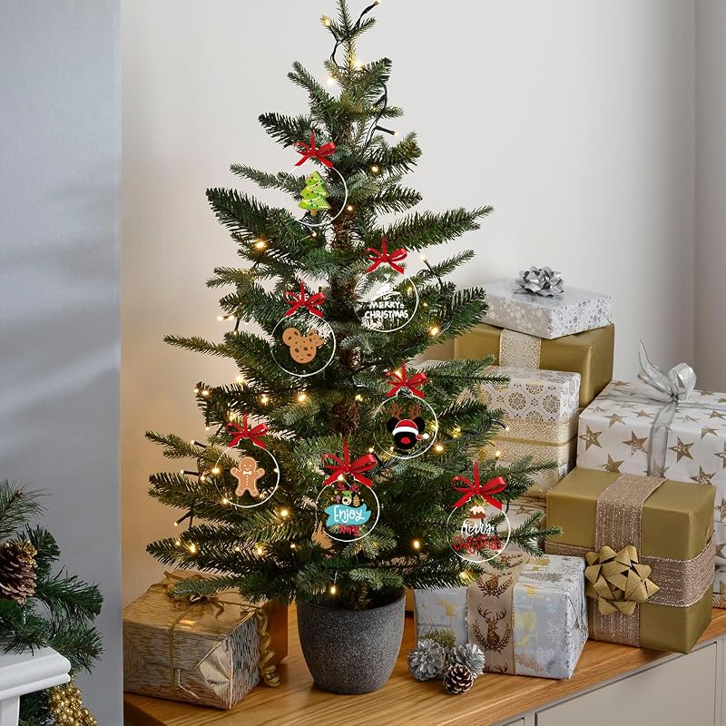 Clear Acrylic Ornament Blanks 4-Inch, 100 Pack – Variation: Clear 100pcs+4"