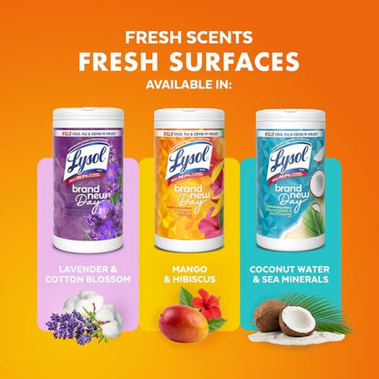 Lysol Disinfecting Wipes - All-Purpose Cleaning & Sanitizing Wipes | Lavender & Mango Scents, 80 Count (4 Pack)