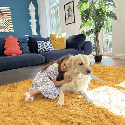 OLANLY 5x8 Machine Washable Large Area Rugs for Living Room, Bedroom, Soft Fluffy Shaggy Bedside Rug, Indoor Floor Carpet for Kids Girls and Boys, Dorms, Nursery, Home Decor Aesthetic, Mustard Yellow