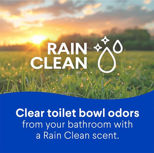 Clorox Toilet Bowl Cleaner - Rain Clean Formula, 24 Fl Oz, Pack of 2 for Deep Cleaning