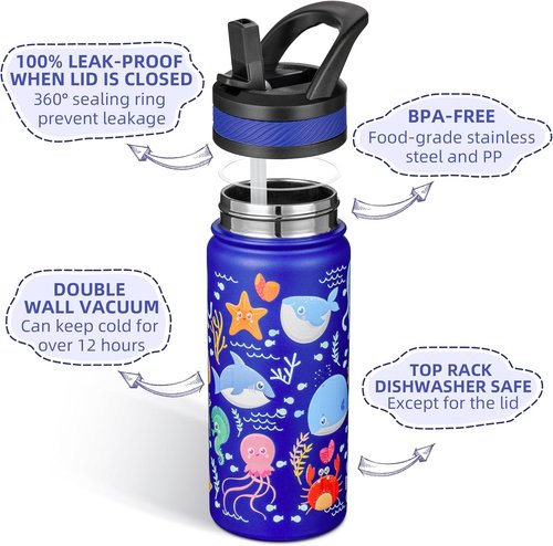 Fanhaw Insulated Kids Water Bottle - 18 Oz Stainless Steel, Leakproof & BPA Free | Blue Ocean
