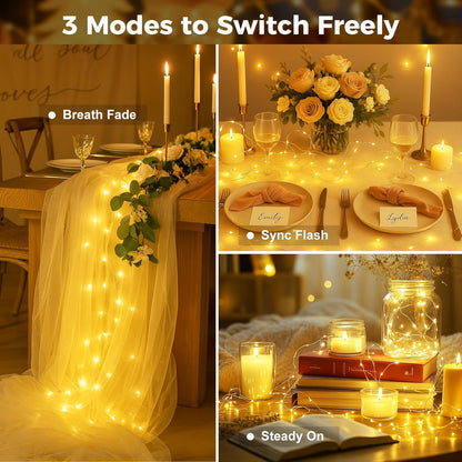 Skiennix Fairy Lights - 24 Pack Battery Operated Mini String Lights | 7ft Warm White Twinkle Lights for Weddings & Parties