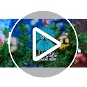 Sister Christmas Ornament Acrylic Keepsake - Always My Sister Variation 01