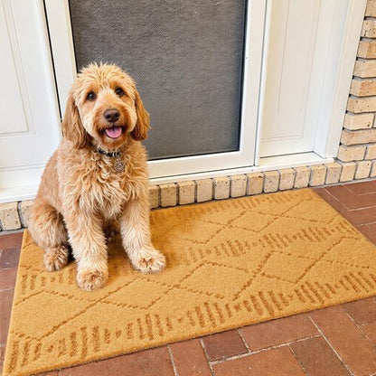 Front Door Mat Indoor Outside Entrance, Heavy Duty Dirt Trapper Coir Doormat with Non Slip Backing Entryway Rug for Front Back Door, 17x30, Brown