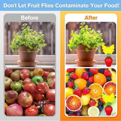 Skiennix Fruit Fly Traps - Safe & Effective Gnat Killer for Home Plants | Durable Sticky Insect Trap