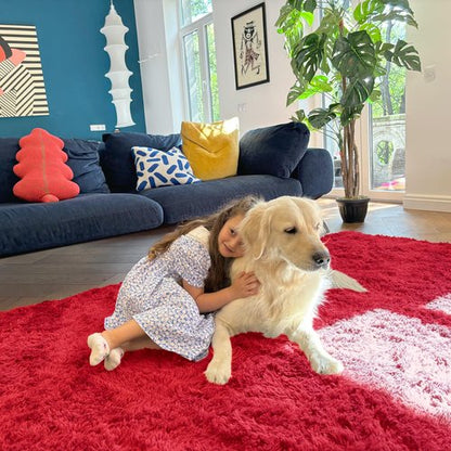 OLANLY 8x10 Machine Washable Large Area Rugs for Living Room, Bedroom, Soft Fluffy Shaggy Bedside Rug, Indoor Floor Carpet for Kids Girls and Boys, Dorms, Nursery, Home Decor Aesthetic, Red