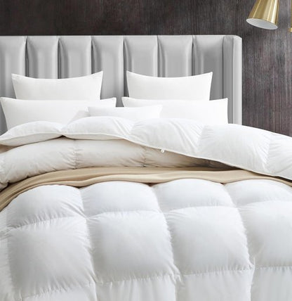 Maple&Stone Queen Size Feather Down Comforter - Ultra Soft All-Season White Duvet Insert | 100% Cotton, 90 x 90 Inches