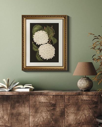 VIYYIEA Gold Framed Canvas Print - White Hydrangea Oil Painting for Home Decor | 13x16in Aesthetic Wall Art