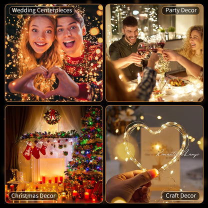 Skiennix 20 Pack LED Fairy Lights - Battery Operated Mini Twinkle String Lights | 7FT Waterproof for Christmas Decor (10 White & 10 Warm White)
