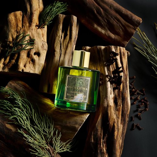 COCORRÍNA Reed Diffuser - Redwood National Park 6.7 Fl. Oz Set with 8 Sticks & Baby's Breath Decor