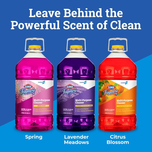Fraganzia Multi-Purpose Cleaner, CloroxPro, Spring Scent, 175 Fluid Ounces (Package May Vary)