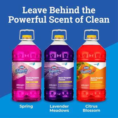 Fraganzia Multi-Purpose Cleaner, CloroxPro, Spring Scent, 175 Fluid Ounces (Package May Vary)