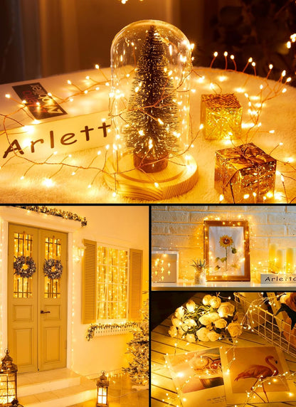 Skiennix USB Fairy Christmas Lights - 10FT 120LED Twinkle Cluster with 8 Modes & Remote | Silver Wire Decor