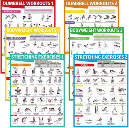 Gisgfim Workout Posters - 6PCS Home Gym Exercise Charts for Dumbbell & Bodyweight Stretching