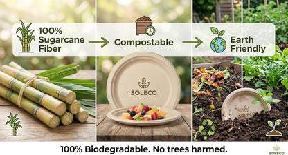 SOLECO Compostable Paper Plates - 10 Inch | 150 Pack Heavy-Duty Biodegradable Plates Made from Sugarcane Fibers