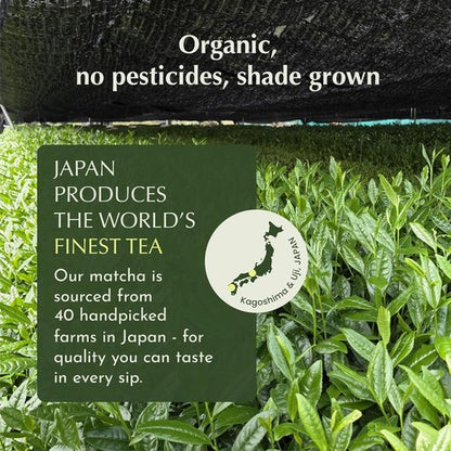 Encha Matcha - Organic Ceremonial Grade Matcha Powder | First Harvest Japanese Green Tea (30g/1.06oz)