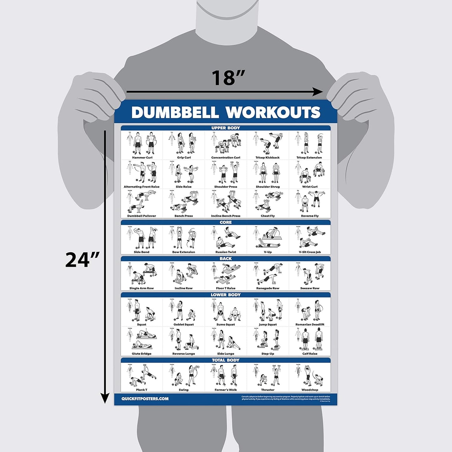 Palace Learning Dumbbell Workout Posters - Laminated Exercise Charts (18" x 24") | 3 Pack Volumes 1-3