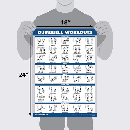 Palace Learning Dumbbell Workout Posters - Laminated Exercise Charts (18" x 24") | 3 Pack Volumes 1-3